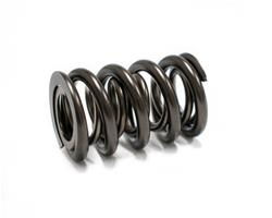 Brian Tooley Racing Valve Springs BTR-1225