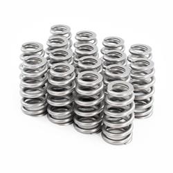 Brian Tooley Racing Valve Springs BTR-1515-16