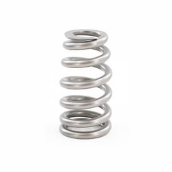 Brian Tooley Racing Valve Springs BTR-1515