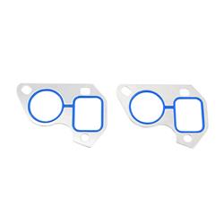 Brian Tooley Racing Water Pump Gaskets BTR-30223-2
