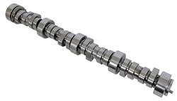 BTR Camshafts BTR31218110