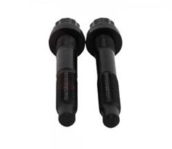 Brian Tooley Racing Fuel Pump Bolts BTRDISK