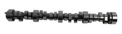 BTR V2 Series Camshafts BTR-LS1STAGE4