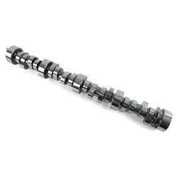 BTR Camshafts BTR-PDSSTAGE4