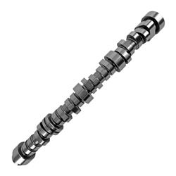 Brian Tooley Racing Camshafts BTR-2241023116R1