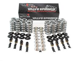 Brian Tooley Racing Valve Springs SK001/S/6545/BB