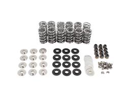 Brian Tooley Racing Valve Springs SK007/0560/BB/V6