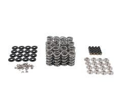 Brian Tooley Racing Valve Springs SK702/0560/LS9