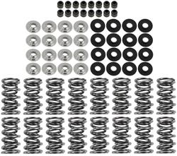 BTR Platinum Valve Spring Kits SK001/T/0560/BB