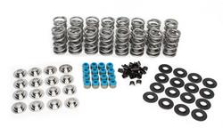 Brian Tooley Racing Valve Springs SK004/T/0560