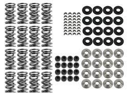 BTR Platinum Valve Spring Kits SK006/0560/BB