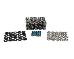Brian Tooley Racing Valve Springs SK010