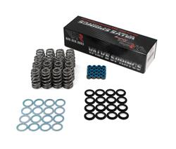 Brian Tooley Racing Valve Springs SK024