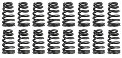 Brian Tooley Racing Valve Springs SK024