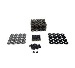 BTR Platinum Valve Spring Kits SK427/560