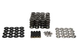 BTR Platinum Valve Spring Kits SK707/0560/BB