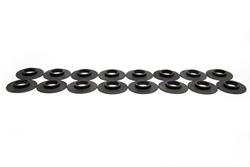 BTR Valve Spring Locators SL520045-16