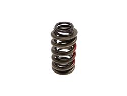 BTR Max Pressure Valve Springs SP002-1