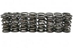 BTR Dual Valve Springs SP010-16