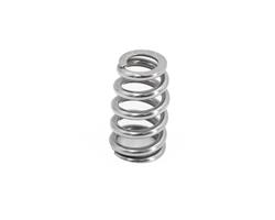 Brian Tooley Racing Valve Springs SP018-1