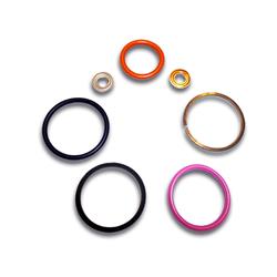 Bostech Auto Fuel Pump Gaskets BT7102101