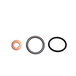 Bostech Auto Fuel Pump Gaskets BT7103117