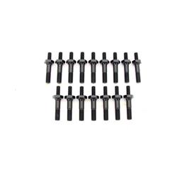 COMP Cams 1401B-16 Pivot Ball Set For Magnum Rocker Arms - 7/16" Stud Size