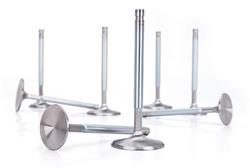 COMP Cams Sportsman Stainless Steel Valves 6070-8