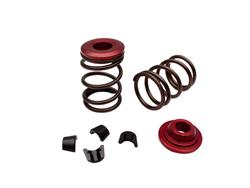 COMP Cams Valve Springs GP961-KIT