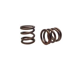 COMP Cams Powersports Valve Springs GP970-2