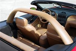 Classic Design Concepts Convertible Styling Bars 101410