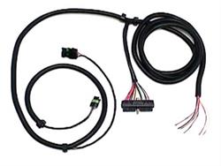 Caspers Electronics Wiring Harnesses 102060