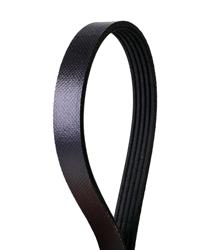 Continental OE Technology Series Multi-V Stretch Belts for 2012-2014 FOCUS - 4050281S