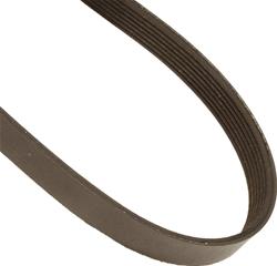 Continental Belts and Hoses Accessory Belts 490J7