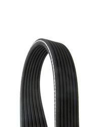 Continental OE Technology Series Multi-V Belts for 2012-2014 A8 QUATTRO - D4070990