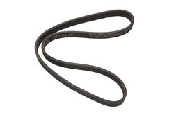 Continental OE Technology Series Multi-V Belts D4080534