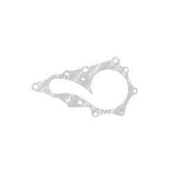 Cometic Water Pump Gaskets C4854-031
