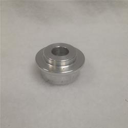 Champ Pans Pulley Alignment Bushings DS364B