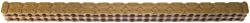 Cloyes Gear Timing Chains 9-135-5