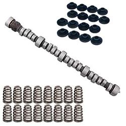 Summit Racing™ Camshaft and Spring Kit Pro Packs