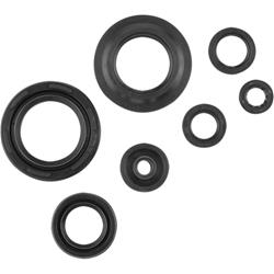 Cometic Powersport Gaskets Oil Seals C7094OS