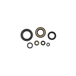 Cometic Gasket Powersports Oil Seal Kits