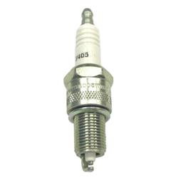 Champion Platinum Power Spark Plugs CCH3405-2