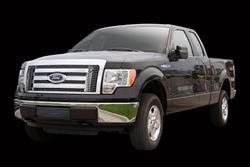 Carriage Works Billet Grille Inserts for 2009-2012 F-150 - 44742