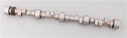 Lunati High Efficiency Camshafts 50169