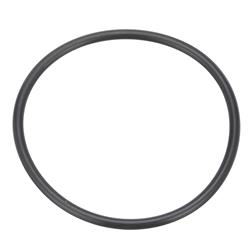 Carter Fuel Tank Pump Mounting Seals for 2012-2014 ACCENT, RIO, 2014-2021 SOUL - PTS2083