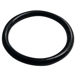 Crown Automotive Water Neck Gaskets and O-Rings 4884873AA