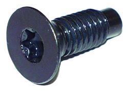 Crown Automotive Windshield Hinge Screws