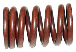 Crown Automotive Valve Springs J0800417