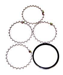 Crown Automotive Piston Rings J0941886